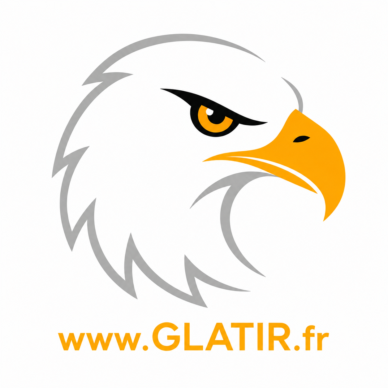 Web Designer Portfolio